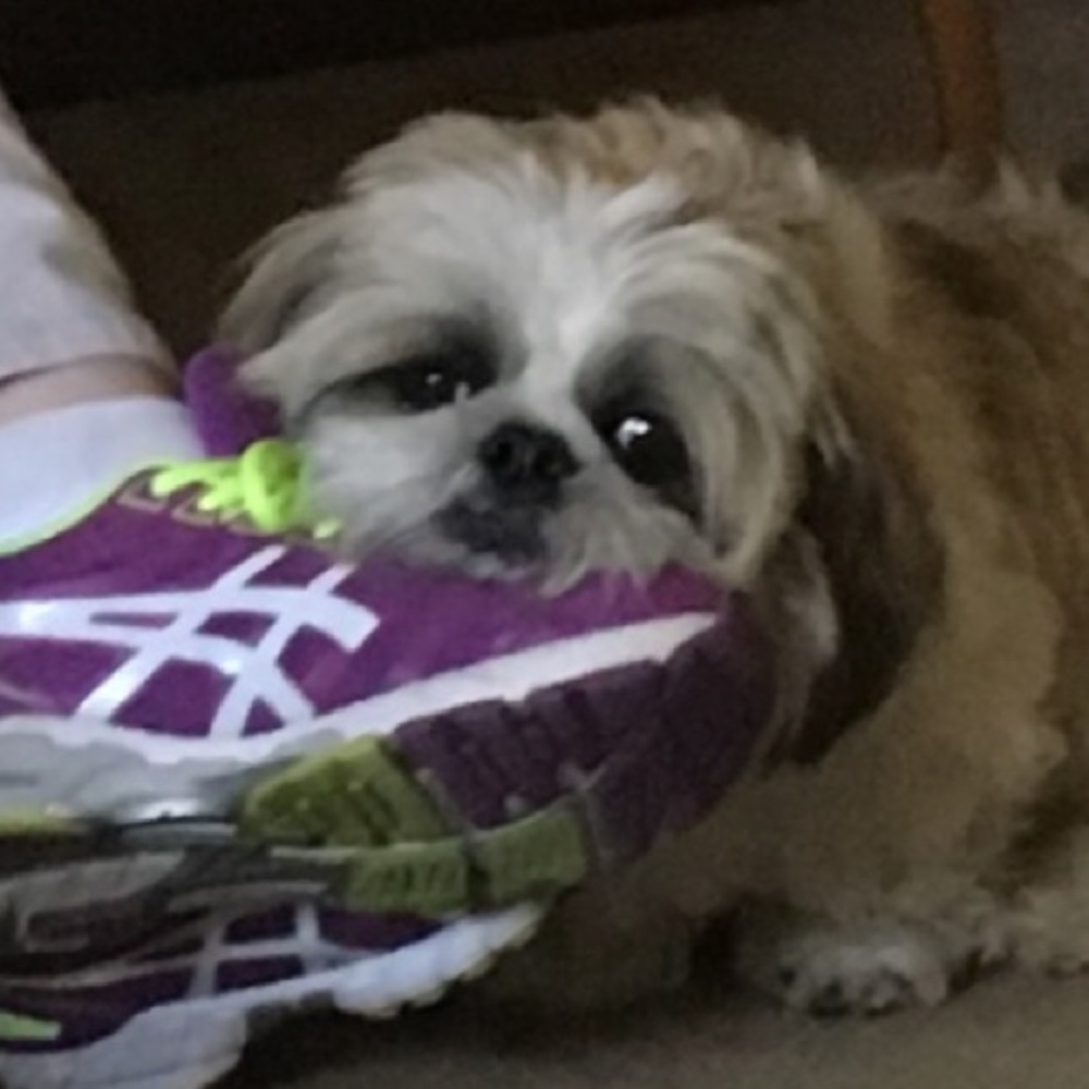 Meet your Posher, Maryclare